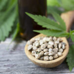 Co mówi polskie prawo o kolekcjonowaniu nasion marihuany?